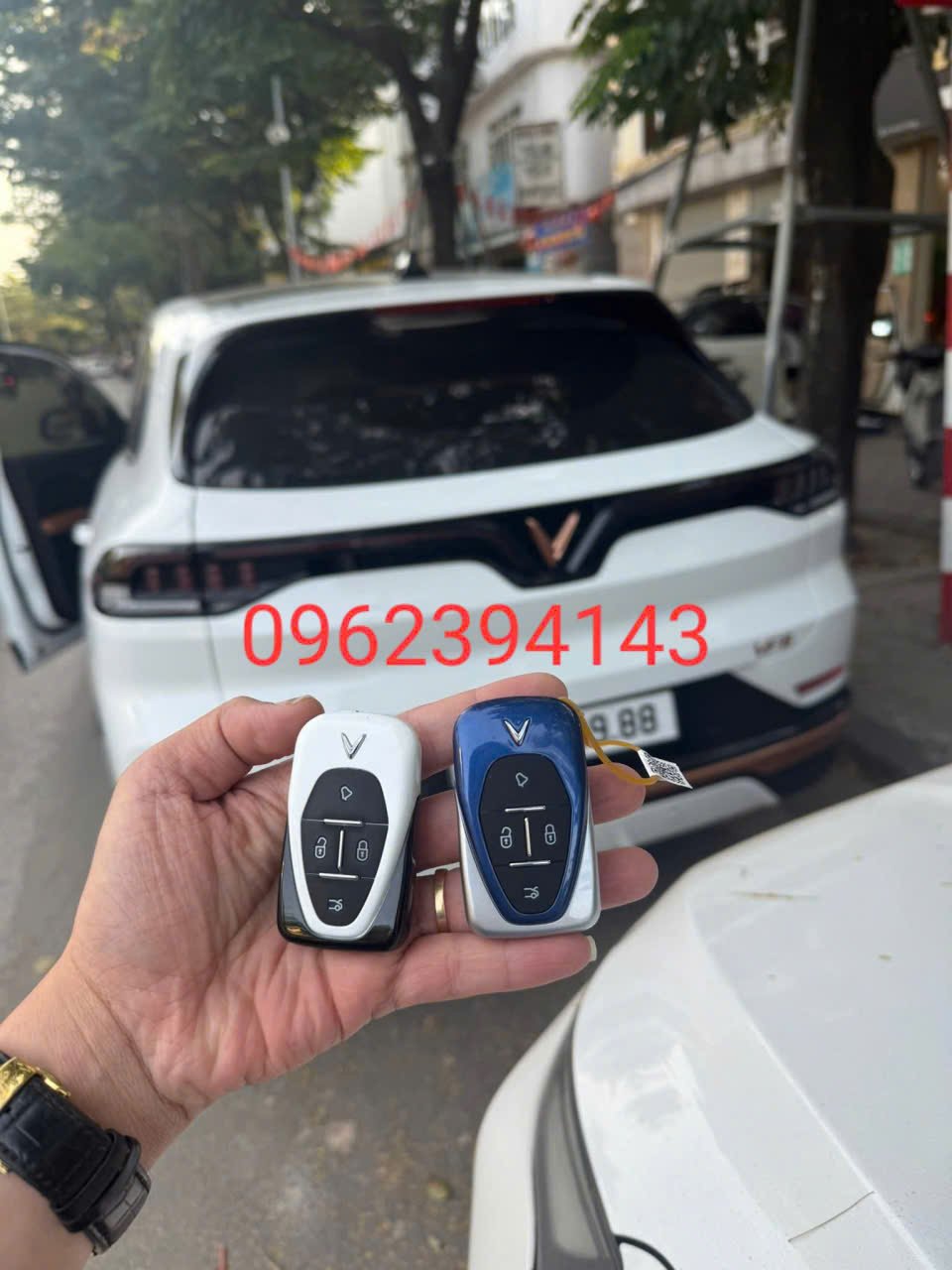 e5771240-45bf-429e-a3ba-fc37a2eda99a